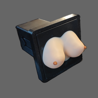 The "Are Those Real?" Receiver Cover