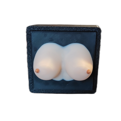 The "Are Those Real?" Receiver Cover