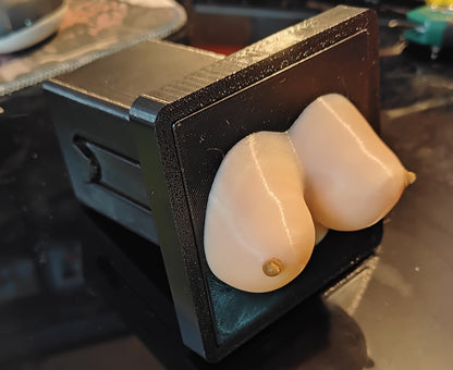 The "Are Those Real?" Receiver Cover